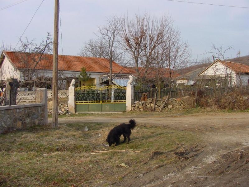 Податотека:KalundzievskiLazar3.jpg